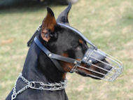 Best Fit dog Muzzle for Doberman- wire Muzzle